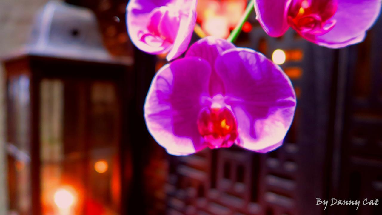 North Sea Hotel Taichung Dış mekan fotoğraf