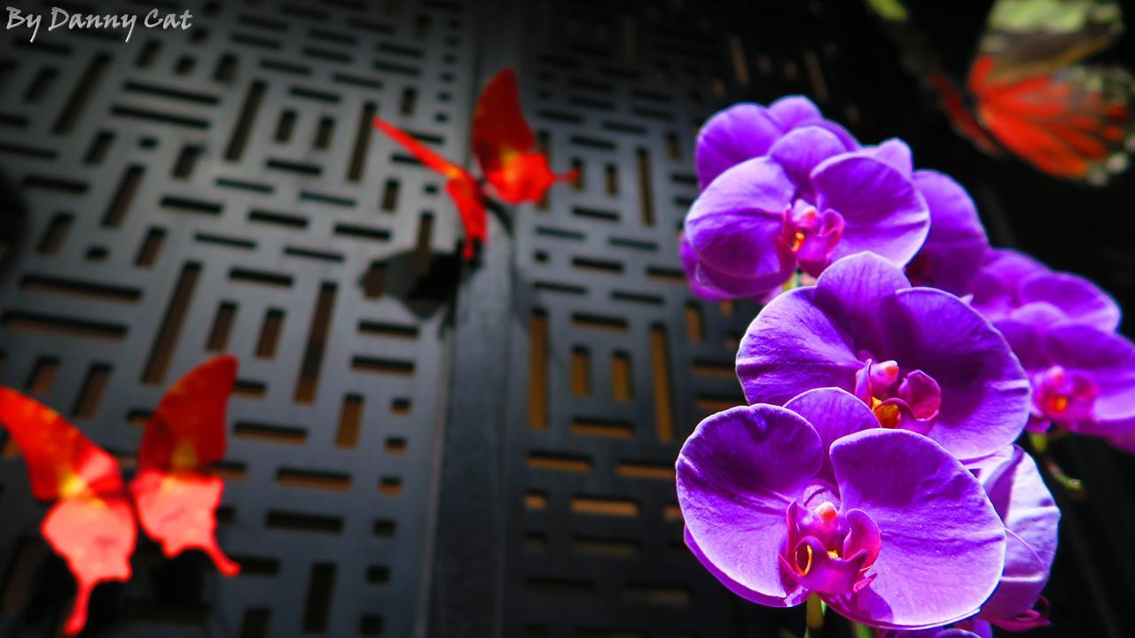 North Sea Hotel Taichung Dış mekan fotoğraf